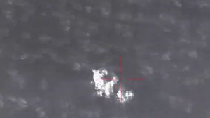 Добыча медведя, охота с тепловизором.