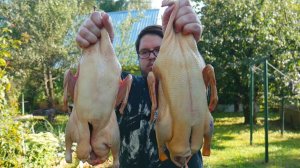 ГУСЬ И УТКА В КАЗАНЕ НА КОСТРЕ. КЛАССИЧЕСКИЙ РЕЦЕПТ ТОМЛЕНОГО МЯСА. ENG SUB.