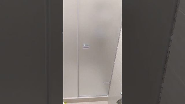 ДВЕРЬ В ДУШЕВУЮ НИШУ TREND DOOR GK-862BP, ПРОФИЛЬ ХРОМ МАТОВЫЙ, МАТОВОЕ СТЕКЛО смотреть онлайн