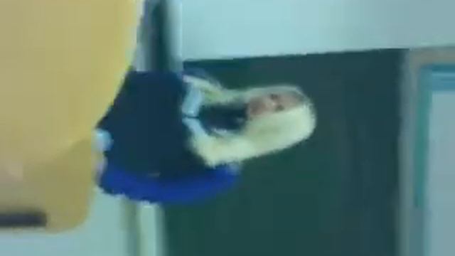 это была первая пара смотреть онлайн