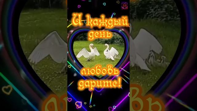 Красивое поздравление с днём семьи, любви и верности! 8 июля ❤️❤️❤️ смотреть онлайн