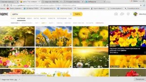 ?Магия слайд шоу. Где взять картинки и музыку для слайд шоу