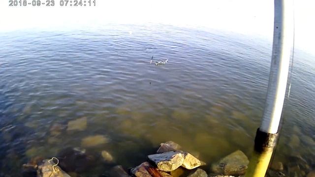 Рыбалка на Азовском море. Ловля тарани с берега. смотреть онлайн