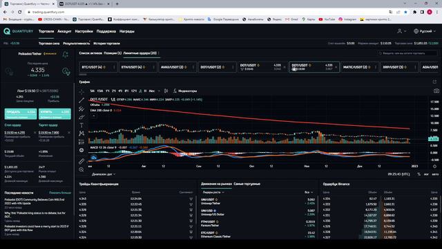 Quantfury Трейдинг Среднесрочные и Долгосрочные позиции Ч5 смотреть онлайн
