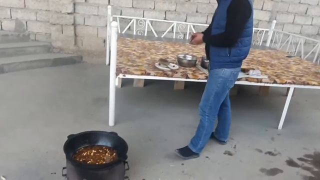 Зоопарк и Дикие Животные