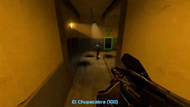 HL2DM EU: Raw vs WS | Weirdie PoV | 2010-04-11 смотреть онлайн