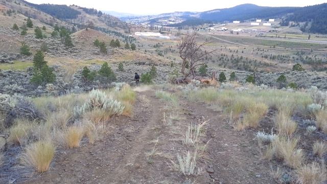 Demo'N The Jamis смотреть онлайн