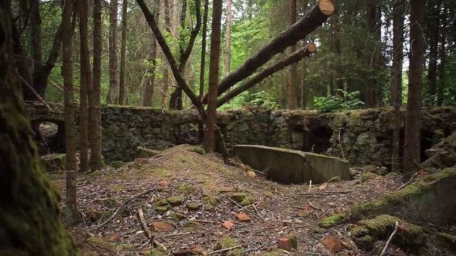 Охотничий замок природного парка "ВИШТЫНЕЦКИЙ" смотреть онлайн