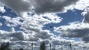 просидел в лесу без спичек 2 месяца Вот и Женя