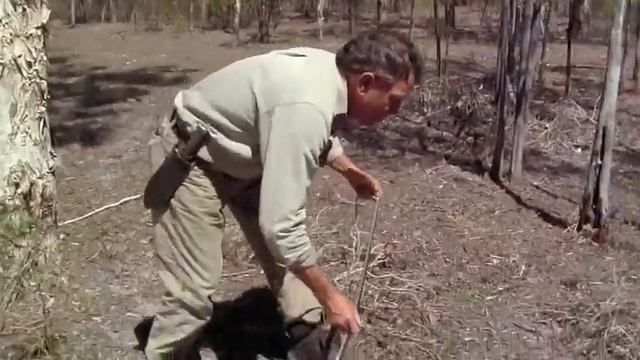Outback Serpents The Wildlife Man TV Series смотреть онлайн
