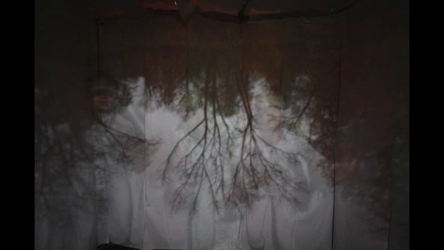 diy camera obscura in the woods смотреть онлайн