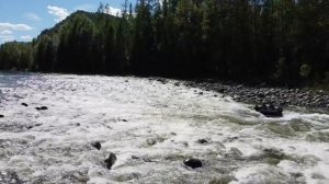 Поездка на Онот. лодка Хатанга 475 jet, Tohatsu50