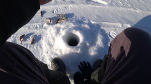 НАШЛИ СТАЮ И ДАВАЙ ДУБАСИТЬ ТОЛЬКО УСПЕВАЙ ОПУСКАЙ! рыбалка в Сибири