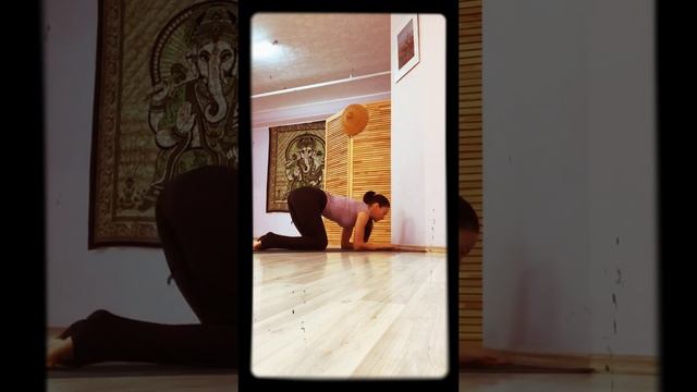 Пинча Маюрасана для начинающих . смотреть онлайн