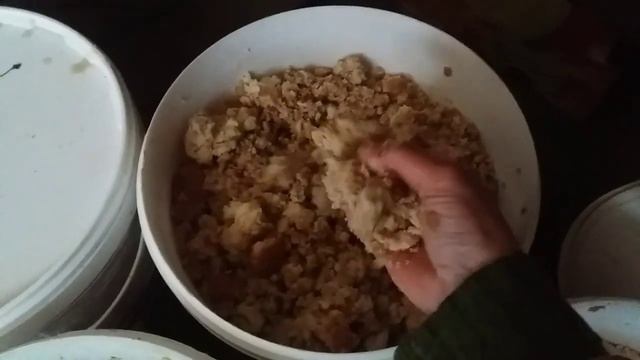 Кормление домашних птиц зимой смотреть онлайн