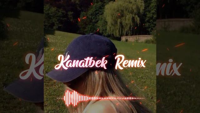 Safari (Kanatbek Remix)