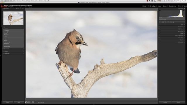 Lightroom Classic CC v7.5 UPDATE - fastest version on my machines for ages!! смотреть онлайн