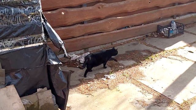Уже 16 лет как смотреть онлайн
