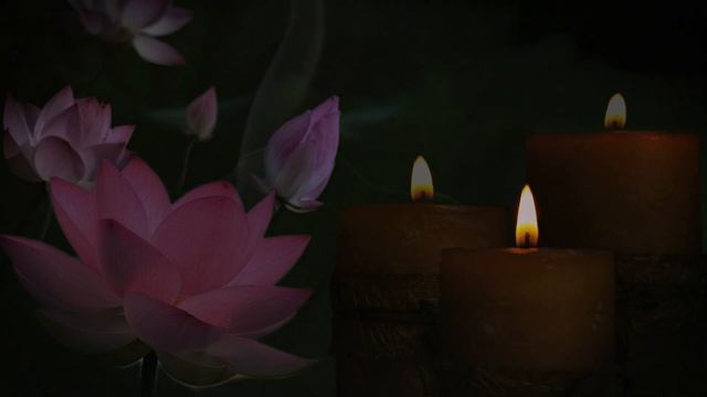 [Water flow sound] When you want to calm your mind, a candle in a lotus flower for 1 hour смотреть онлайн