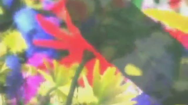 Pump It Up Fiesta 2 - Xuxa (BGA) смотреть онлайн