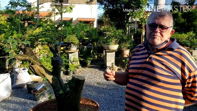 Fazendo alporque смотреть онлайн