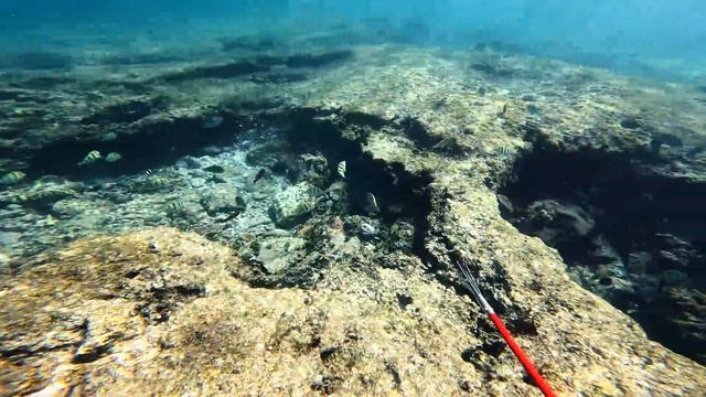 Solo Survival On Deadly Uninhabited Island (No Food, No Water, No Shelter) смотреть онлайн