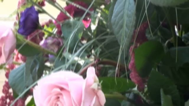 Императорский букет. Imperial bouquet. смотреть онлайн