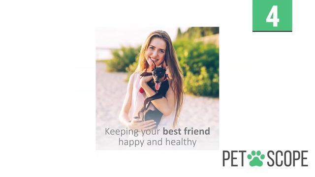 Best Dog Shampoo | TOP 7 Dog Shampoos (2021) ? ✅