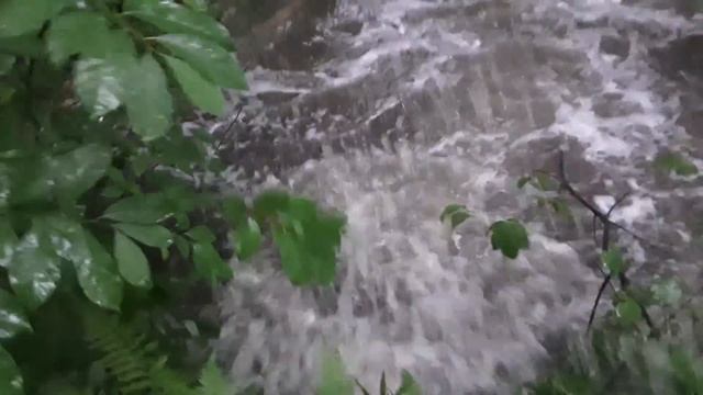 Draining a Massive Flooded Street смотреть онлайн