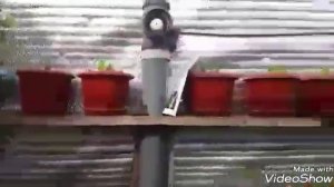 Обзор моей теплицы. Теплица по принципу Вегетарий Иванова.