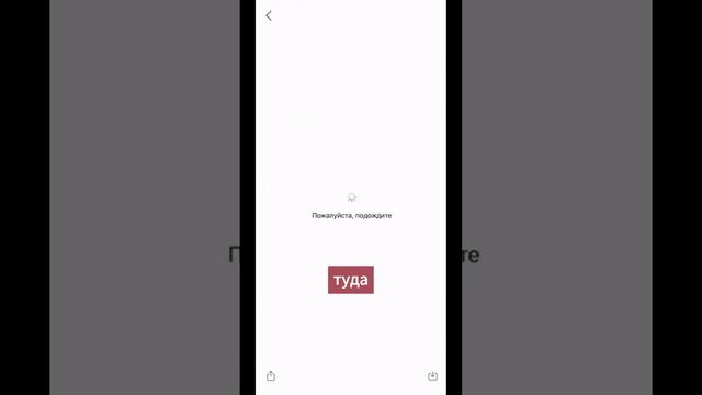 КАК УВЕЛИЧИТЬ ПЕНСИЮ РАБОТАЮЩЕМУ ПЕНСИОНЕРУ? #пенсия #пенсионеры #накопления #пфр #выплаты смотреть онлайн