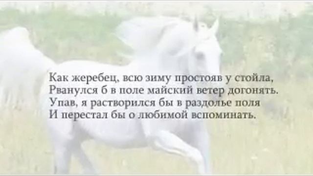 Придуманное счастье - Виталий Тугай смотреть онлайн