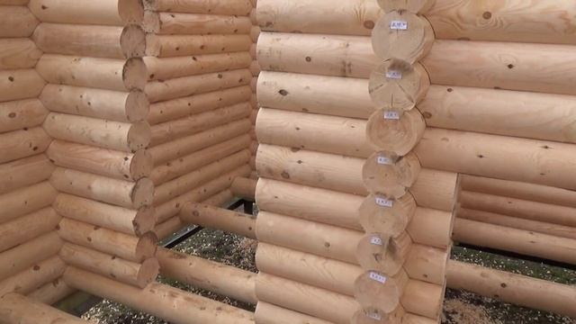 Сруб Бани 5.0х6.0м. из бревна "Петергоф". Цена в СПб 231.096 руб. смотреть онлайн