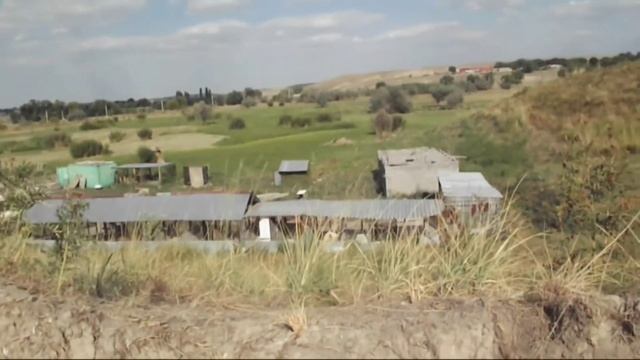 "Первый" приют для животных "Белый Бим" смотреть онлайн