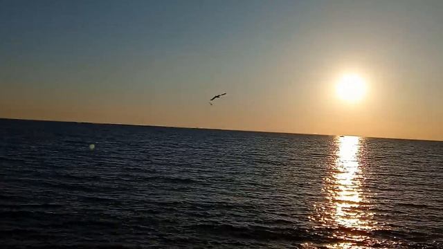 Весенняя музыкальная композиция. Музыка Nostalgic Place.