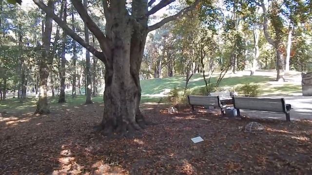 VLOG ВАС УЖЕ ТЫСЯЧА! СЕРИЯ 106 ЧЕРНОВЫ ТВ