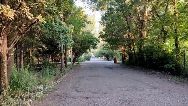 Прогулки по Армении. Вечер в Ботаническом саду смотреть онлайн