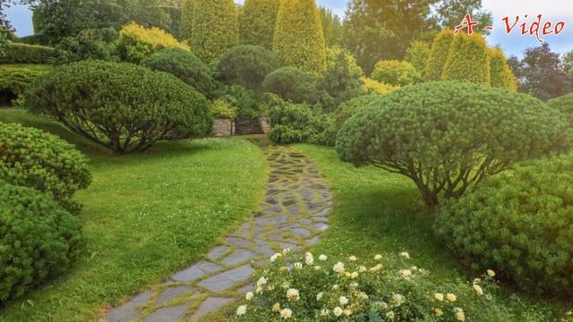 ?Прекрасные идеи которые можно применить на своём садовом участке / Ideas For The Garden / A - Vide