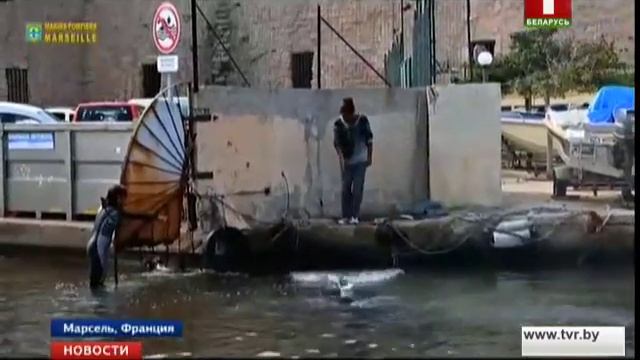 В старый порт Марселя заплыл огромный кит смотреть онлайн