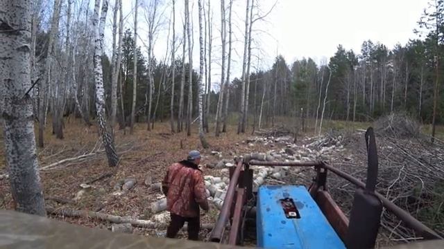 Дрова возят на иномарке. Заготовка дров в #деревне #Окунево. смотреть онлайн
