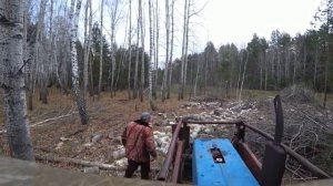 Дрова возят на иномарке. Заготовка дров в #деревне #Окунево.