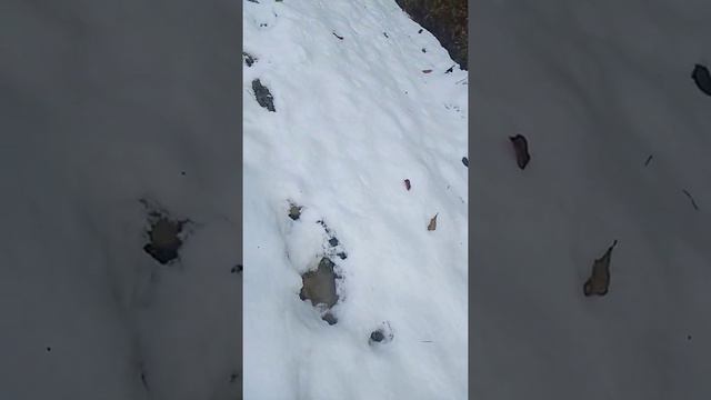 Bihukot ghoda badhe ma hiu pareko (1) смотреть онлайн