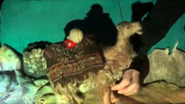 Спектакль для детей "В Африке или куда улетают птицы" смотреть онлайн