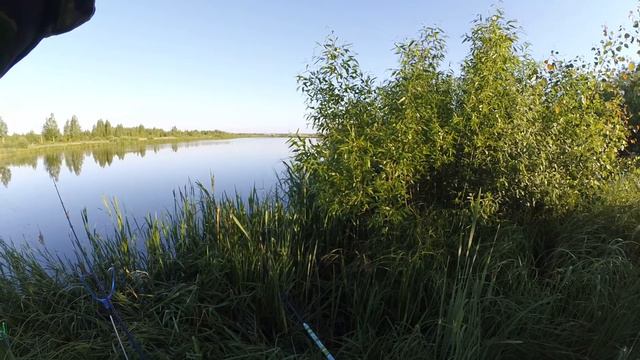 Ловля крупной плотвы на озере. РЫБАЛКА.