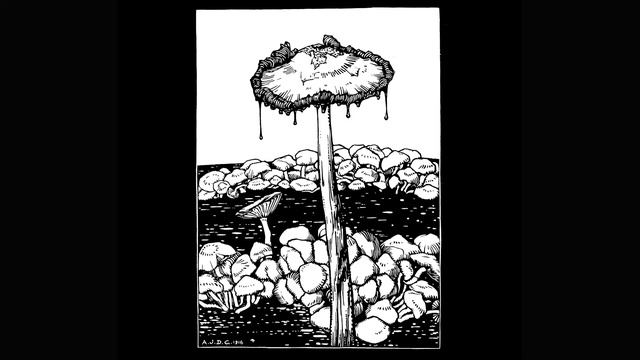 Saprotrophic - Decomposition смотреть онлайн