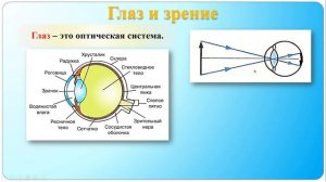 Глаз и зрение  Очки
