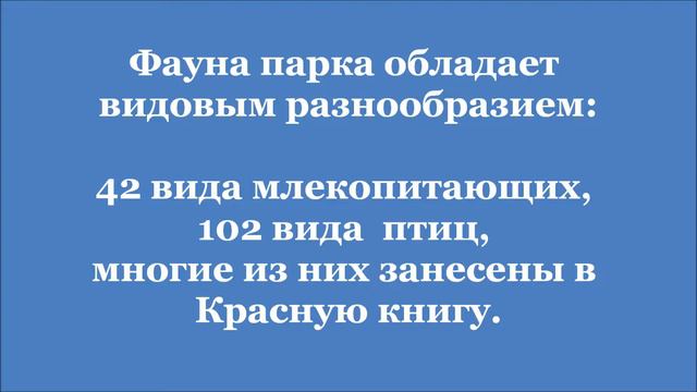 Ленские столбы смотреть онлайн