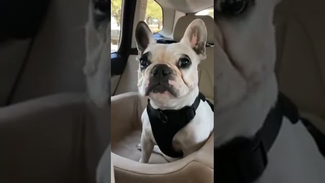 Walter Breaks His All-Time Meltdown Record!! смотреть онлайн