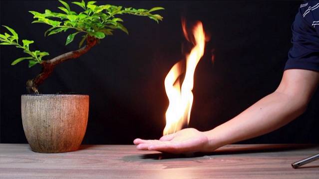 PLAY WITH FIRE | 10 SCIENCE EXPERIMENTS