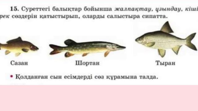3-сынып Қазақ тілі 106-сабақ 13-16-жаттығу смотреть онлайн